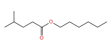 Hexyl 4-methylpentanoate